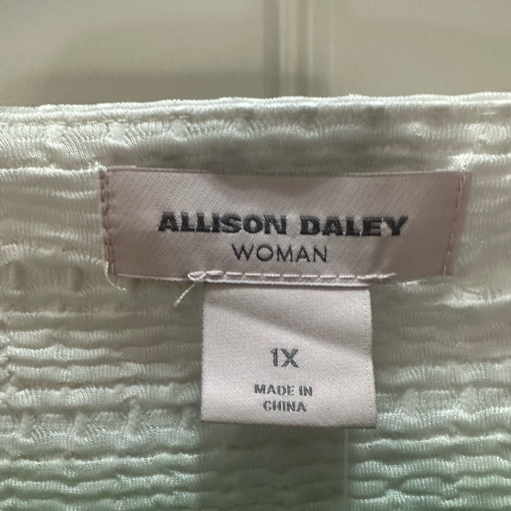 NWT Allison Daley Ombre Textured Blouse Lagenlook casual size 1x - Picture 2 of 5